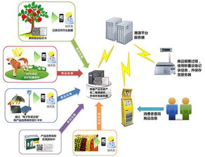 物聯網技術賦能產業升級 防偽、食品安全與新材料研發的革新應用
